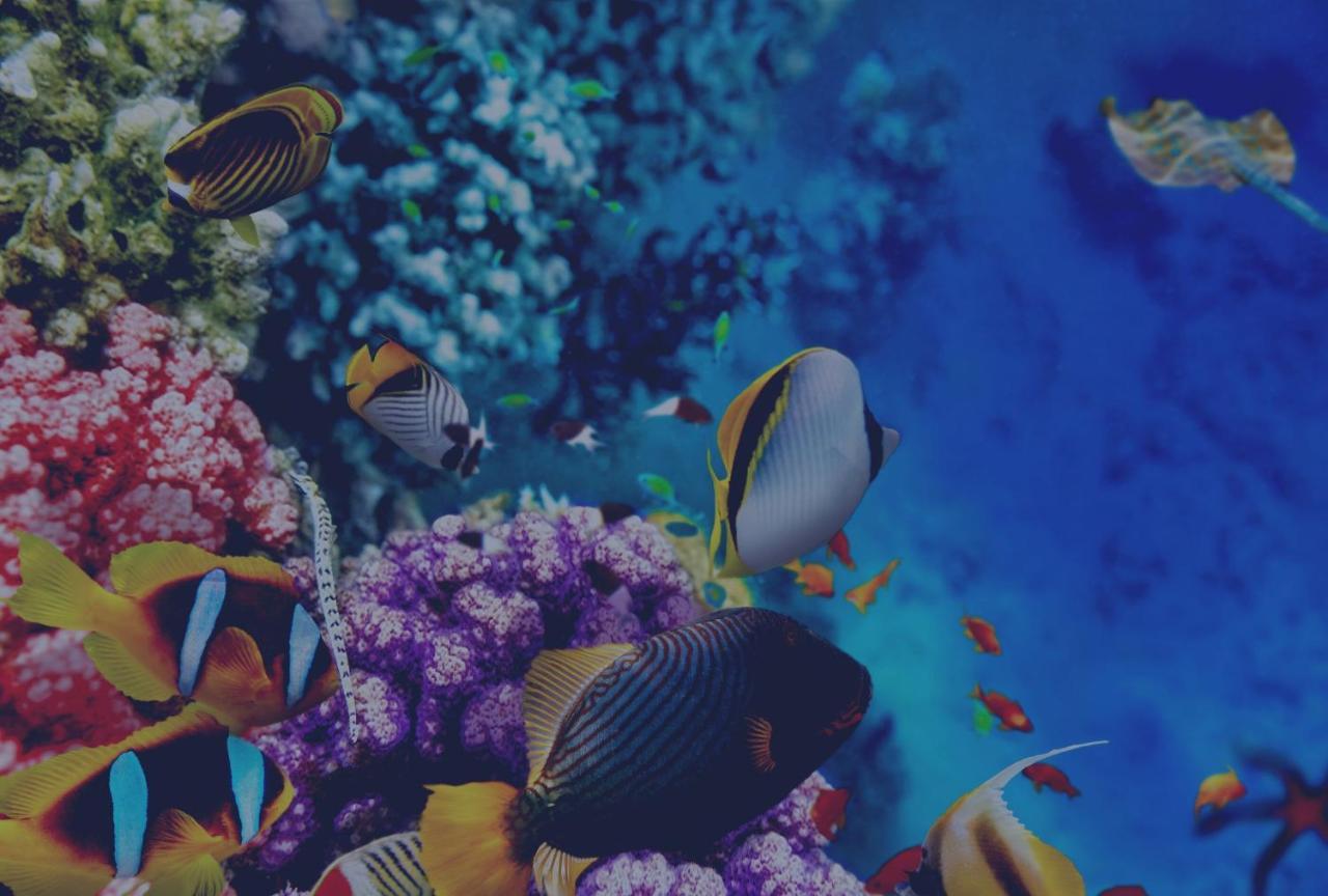 The High Dive Gili Gede By Ultimate Resorts Екстер'єр фото